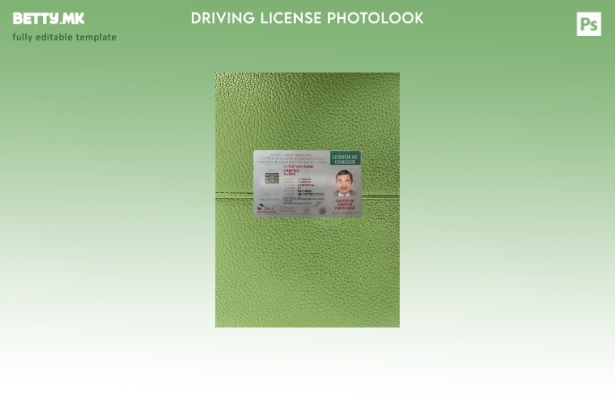 Модерен стил Мексиканската возачка дозвола претставува преден шаблон со photoloo